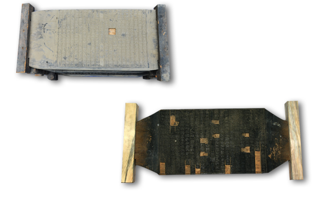 A figure with an eliminated fossil-wood & A figure which discloses the characters of