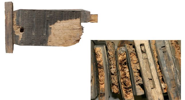 A woodblock damaged by pyralidid, a parasite living in a tree. End pieces damaged by pyralidid.